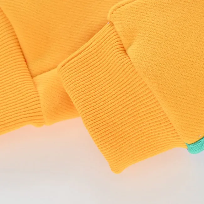 Boys Fleece-Lined Hooded Sweater