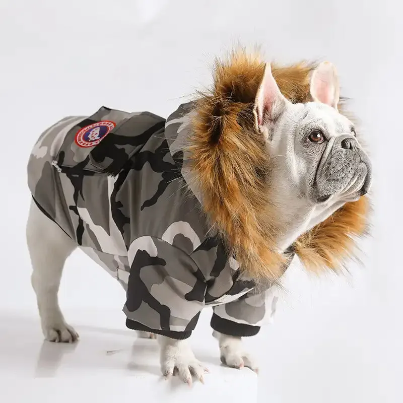 Canada Goose Parka For Small Dogs