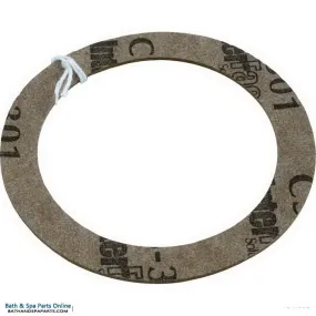 Hayward Inlet Fitting, Slip Washer (SPX1025Z3)