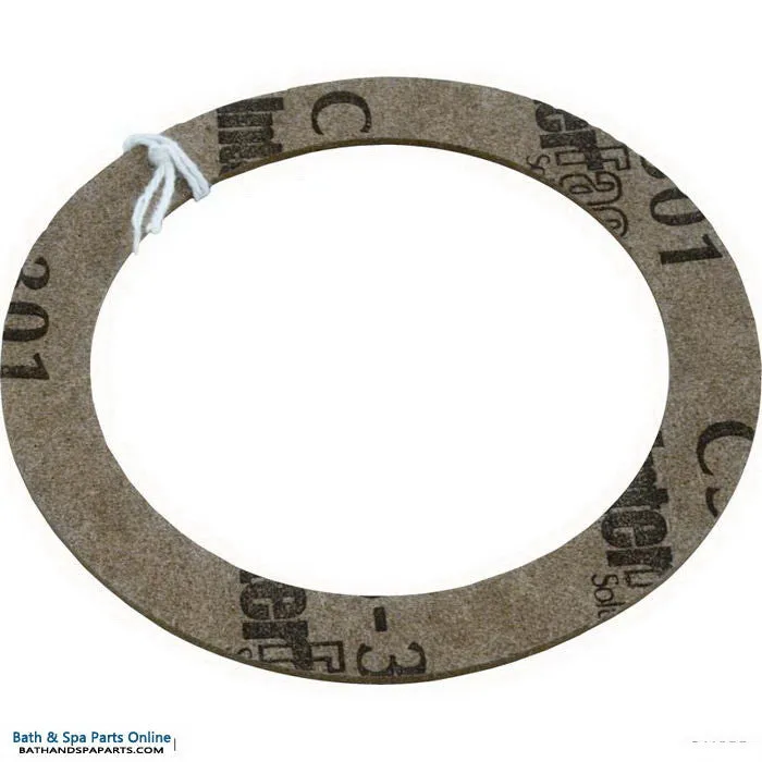 Hayward Inlet Fitting, Slip Washer (SPX1025Z3)