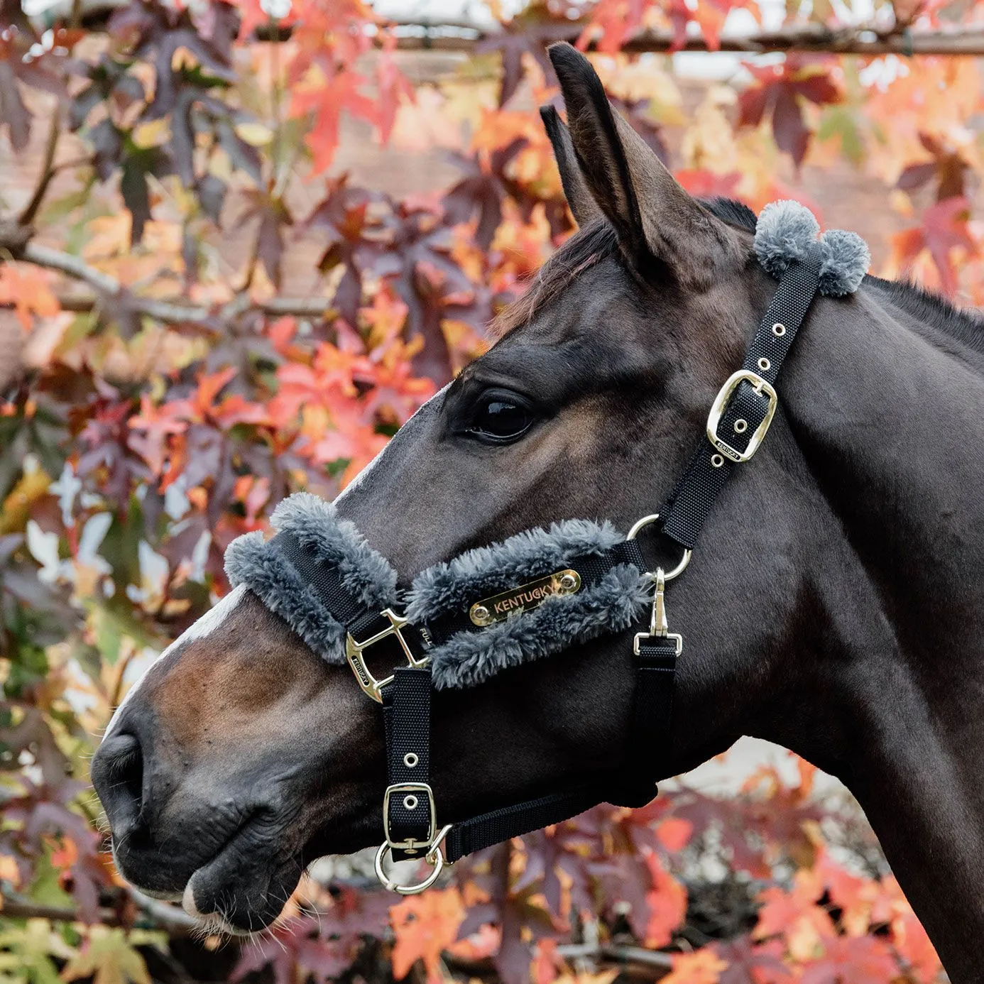 Kentucky Horsewear Nylon Sheepskin Headcollar - Grey