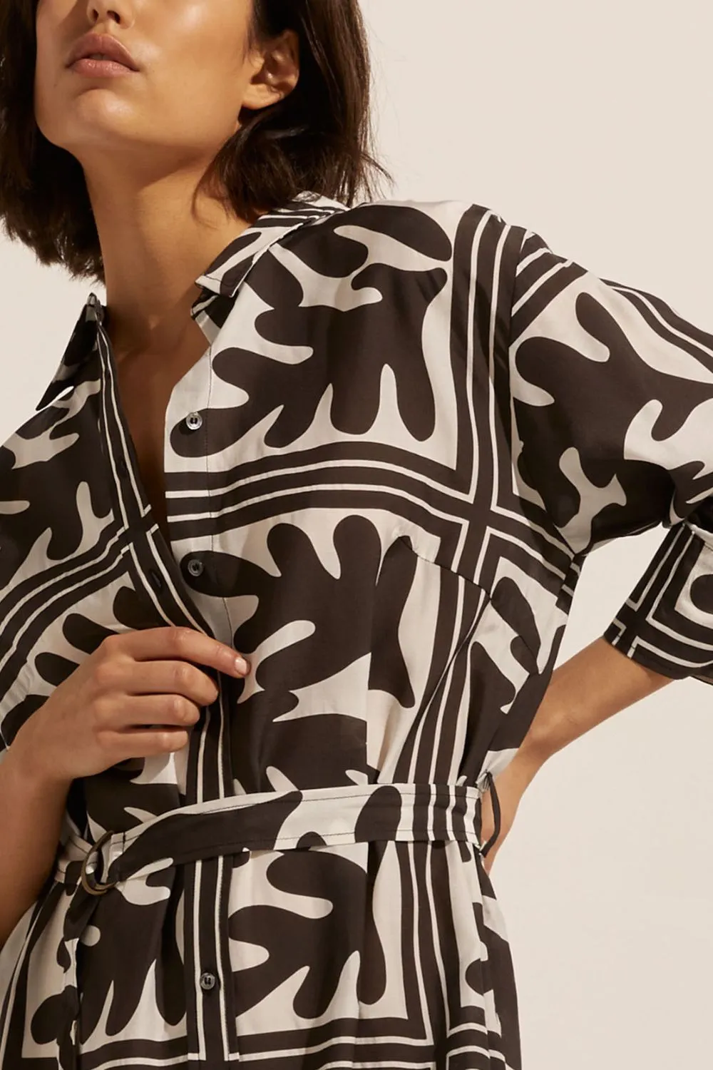 pinpoint dress - frond choc