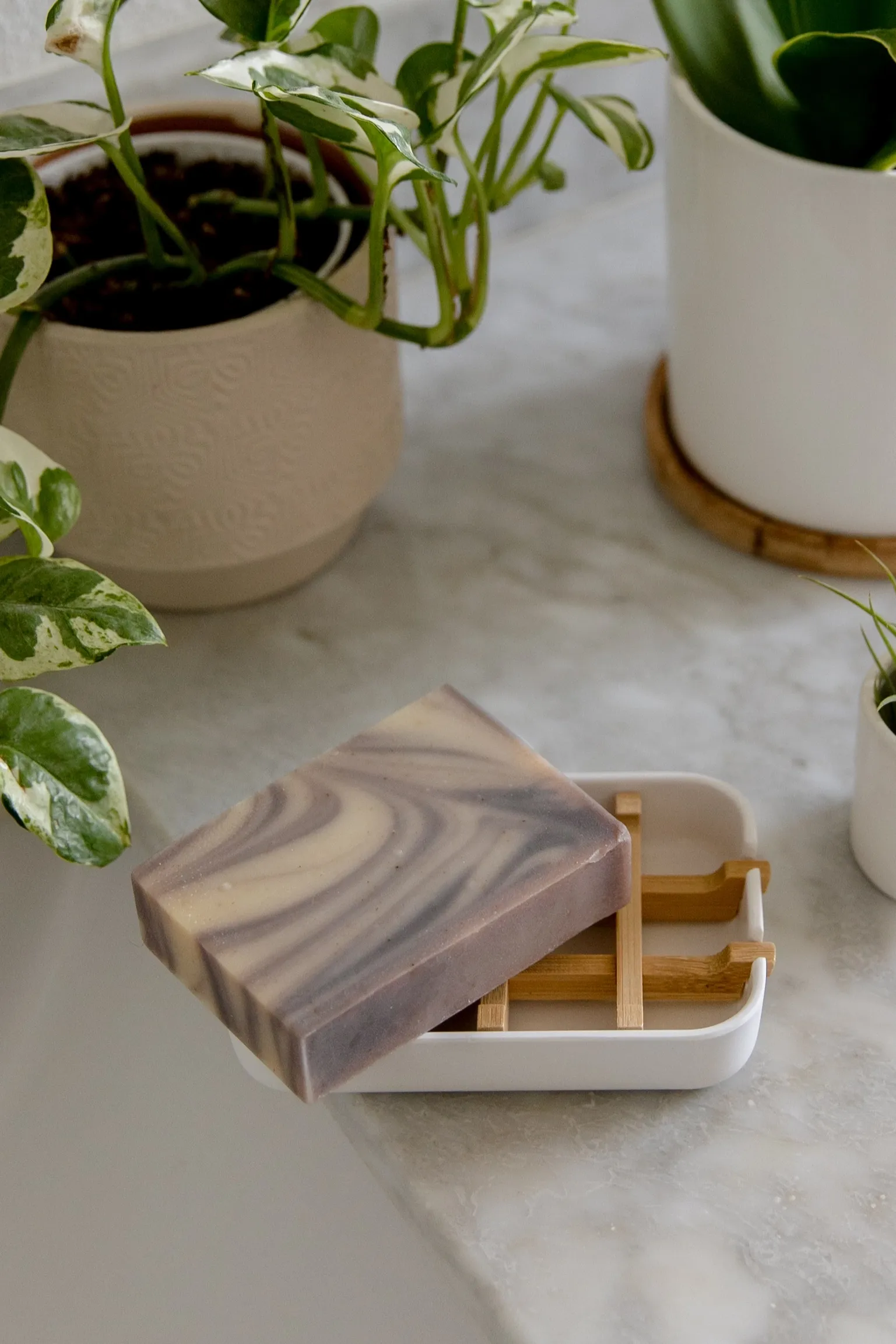 Plant-Based Soap Dish Tray