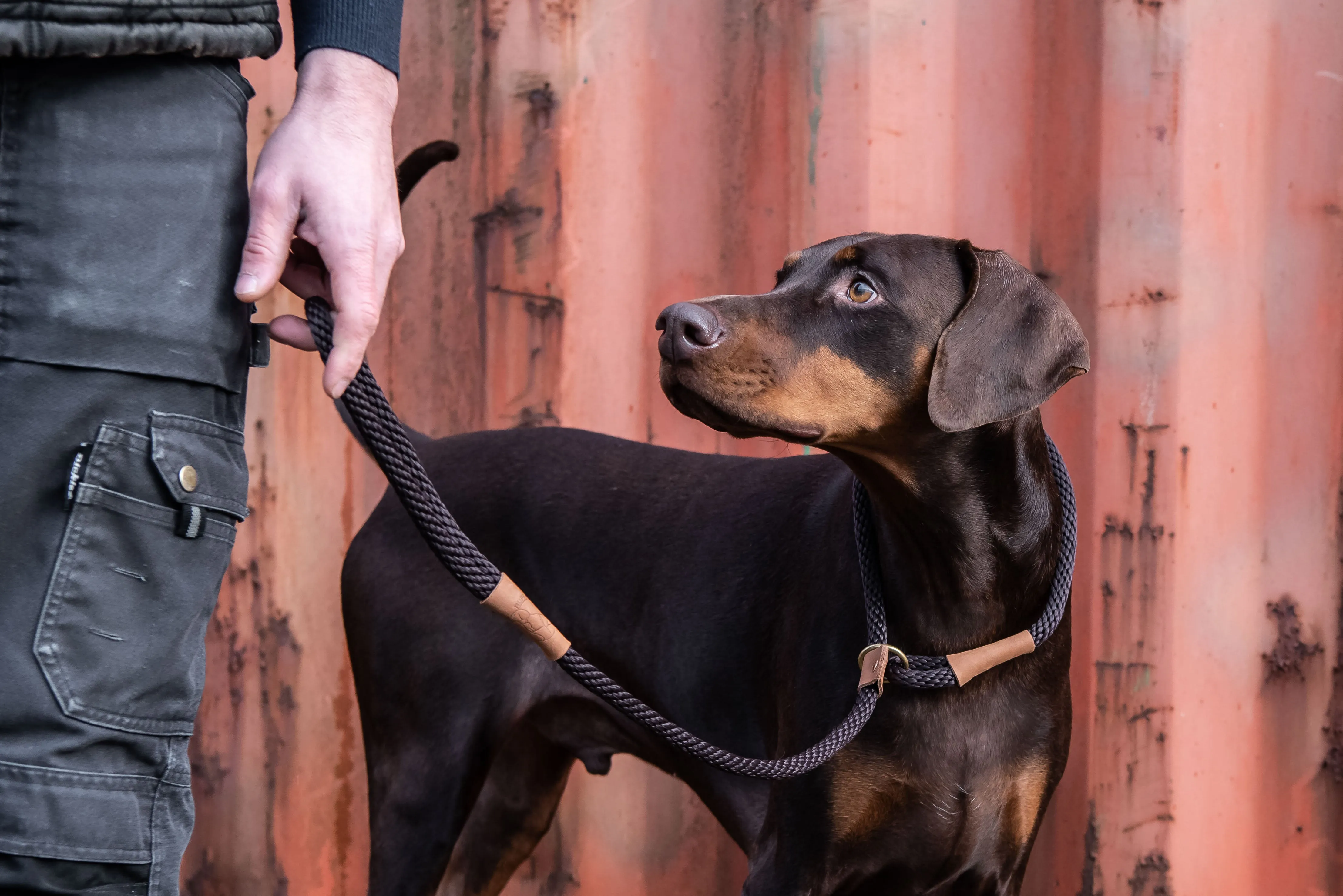 Ruff & Tumble - Dog Leads - All Colours